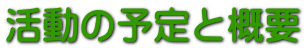 活動の予定と概要